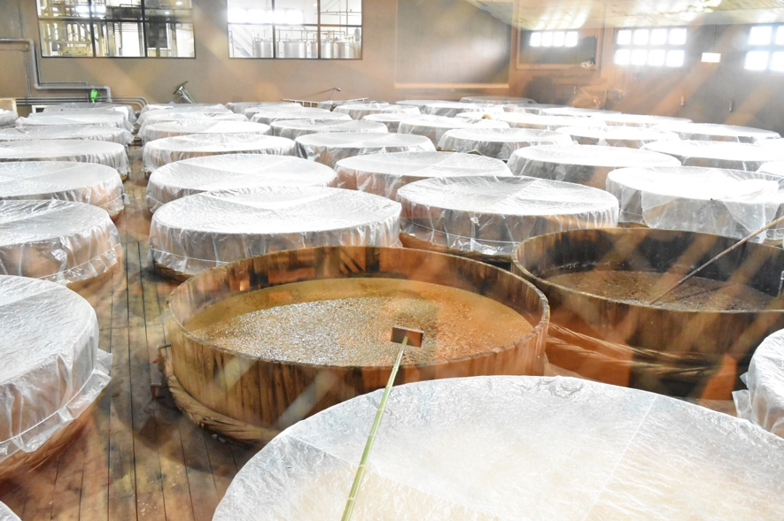 (発酵食研究会)-活動報告-ヤマキ醸造株式会社「醤油」の蔵見学に行ってきました！
